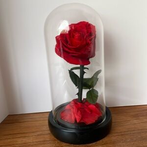 Mini Everlasting Rose With glass dome.